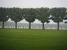 Meuse-Argonne Cemetery